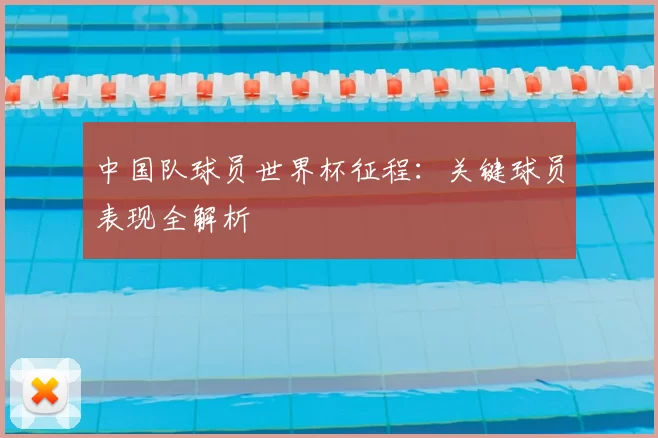 中国队球员世界杯征程：关键球员表现全解析