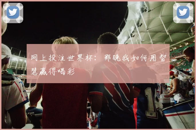 网上投注世界杯：那晚我如何用智慧赢得喝彩