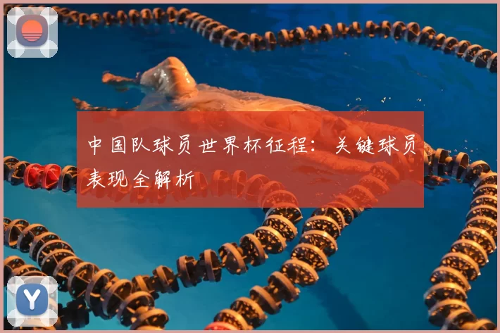 中国队球员世界杯征程：关键球员表现全解析
