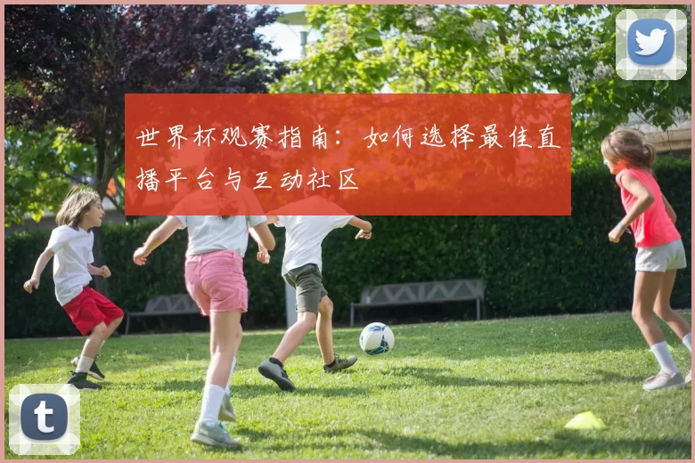 世界杯观赛指南:如何选择最佳直播平台与互动社区