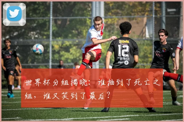 世界杯分组揭晓:谁抽到了死亡之组,谁又笑到了最后?