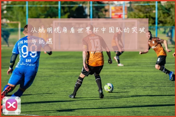 从姚明视角看世界杯中国队的突破与机遇
