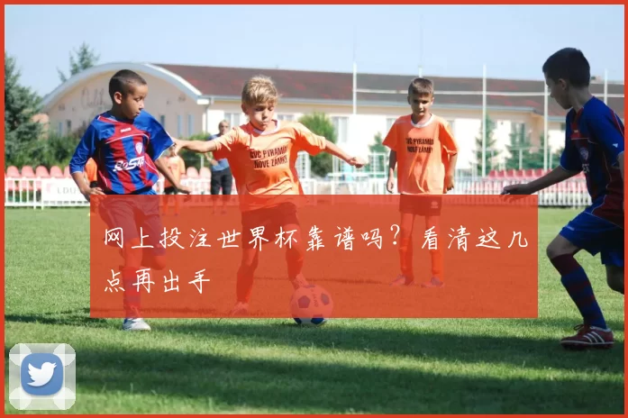 网上投注世界杯靠谱吗？看清这几点再出手