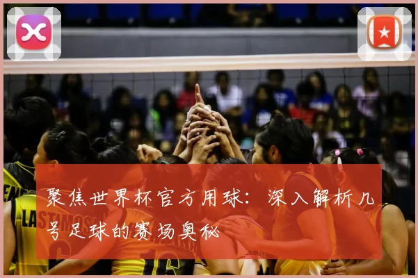 聚焦世界杯官方用球：深入解析几号足球的赛场奥秘