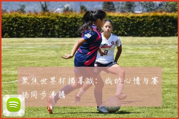 聚焦世界杯揭幕战：我的心情与赛场同步沸腾