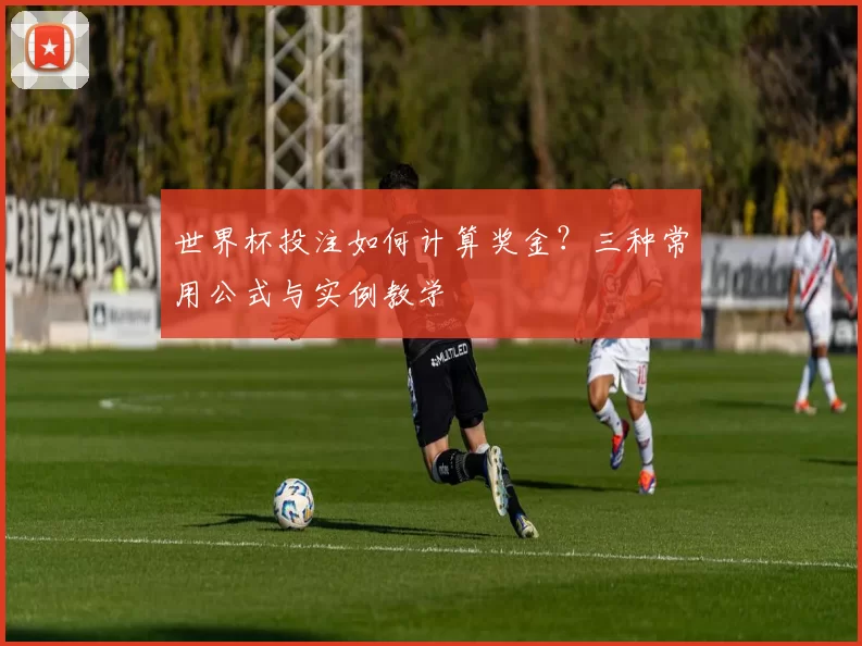 世界杯投注如何计算奖金？三种常用公式与实例教学