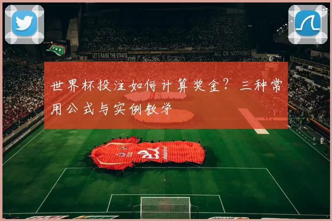 世界杯投注如何计算奖金？三种常用公式与实例教学