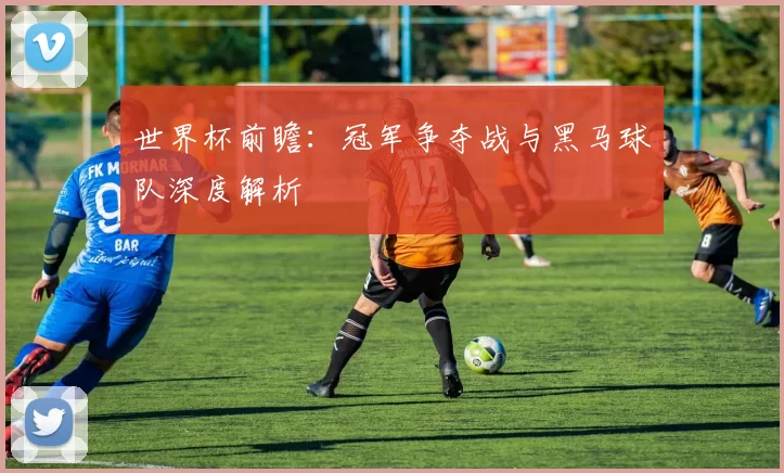 世界杯前瞻:冠军争夺战与黑马球队深度解析