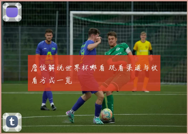 詹俊解说世界杯哪看 观看渠道与收看方式一览