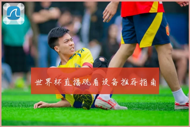 世界杯直播观看设备推荐指南